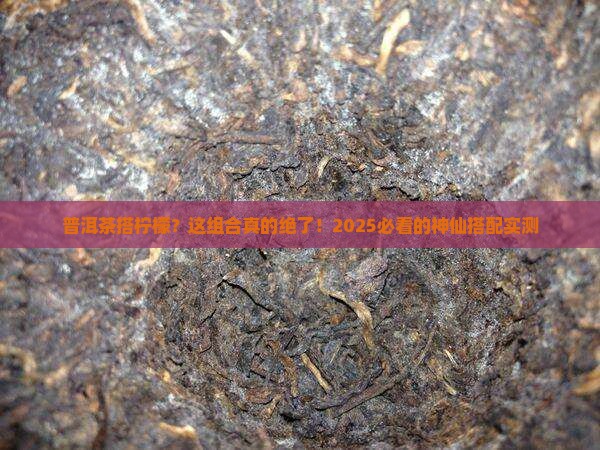 普洱茶和柠檬干茶