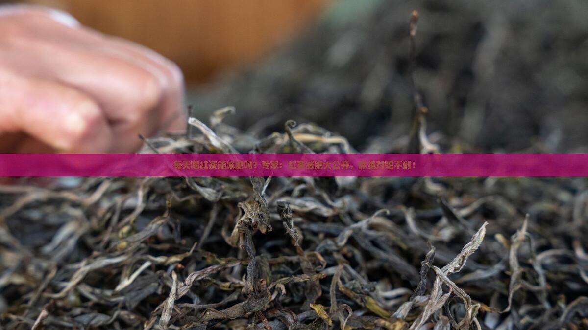 每天喝红茶能减肥吗