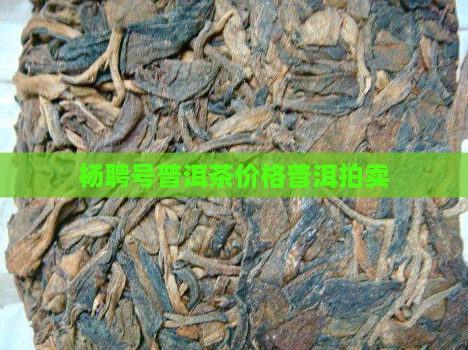 杨聘号清代普洱茶拍卖价格