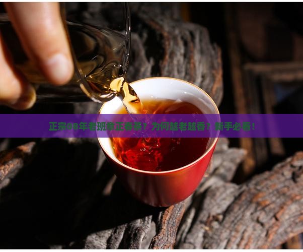 正宗08年老班章正春茶