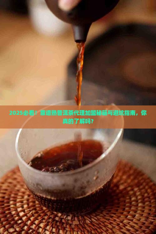 靠谱的熟普洱茶代理加盟