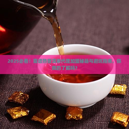 靠谱的熟普洱茶代理加盟