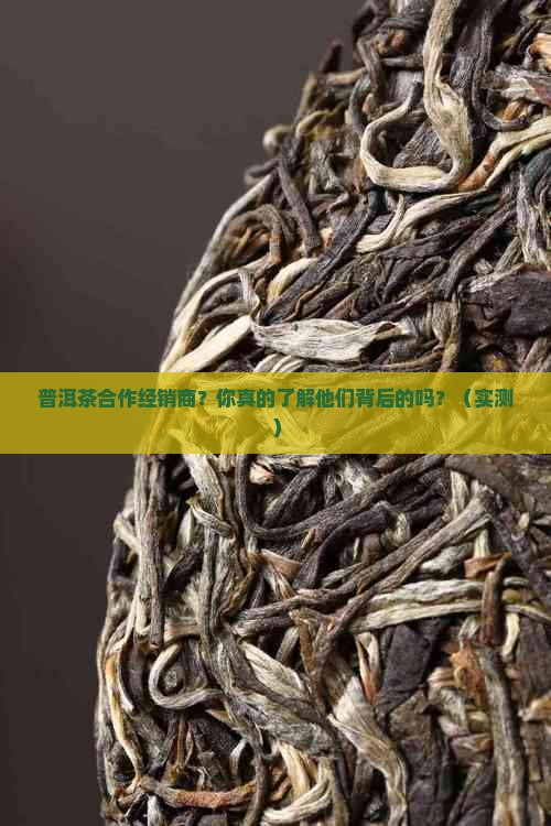 普洱茶合作经销商