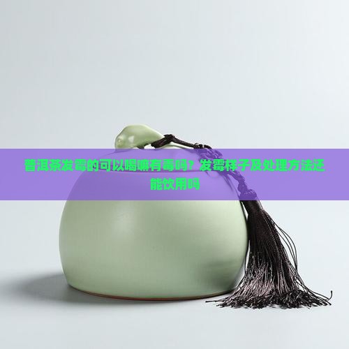 普洱茶发霉的可以喝嘛有毒吗