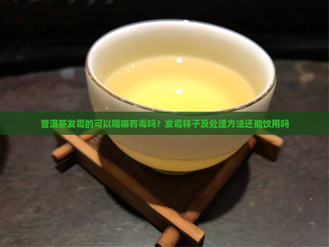 普洱茶发霉的可以喝嘛有毒吗