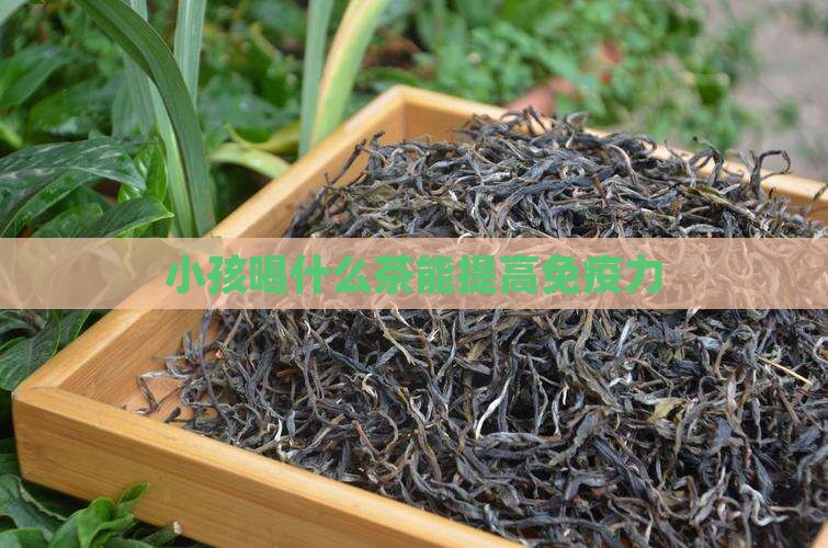 小孩喝什么茶能提高免疫力