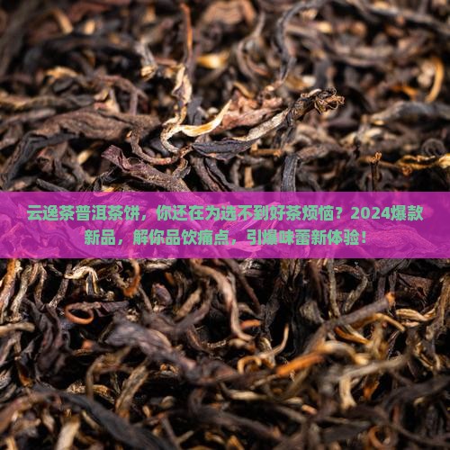 云逸茶普洱茶饼