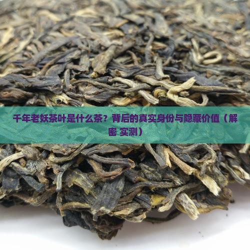 千年老妖茶叶是什么茶