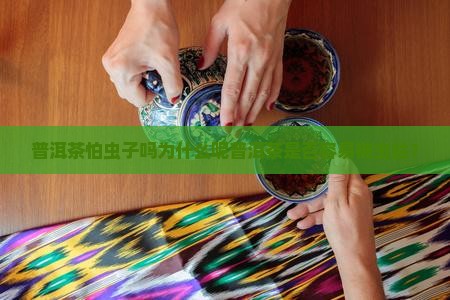 普洱茶怕虫子吗为什么呢