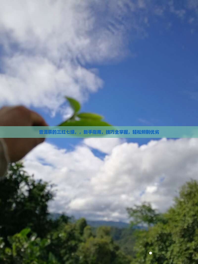 普洱茶的三红七绿