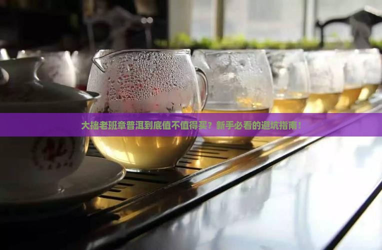 大拙老班章普洱