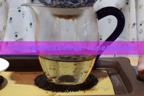 普洱茶中期茶啥意思啊