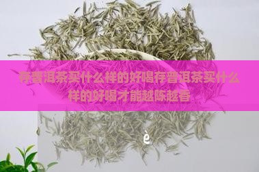 存普洱茶买什么样的好喝
