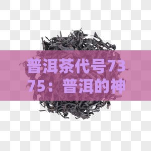 普洱茶代号7375