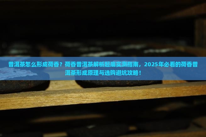 普洱茶怎么形成荷香