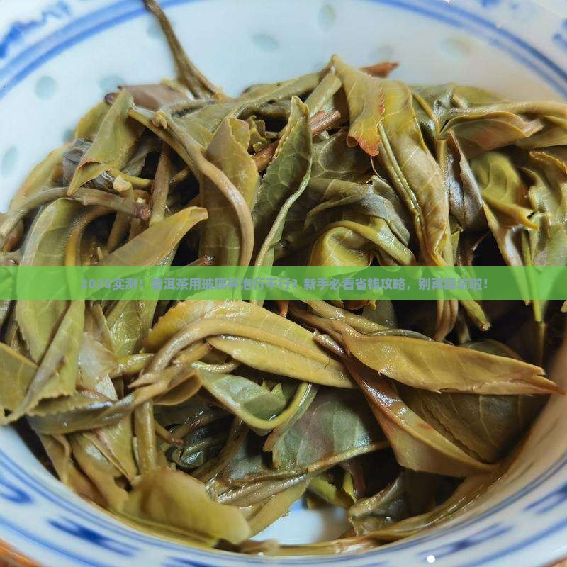普洱茶能用玻璃杯泡着喝吗
