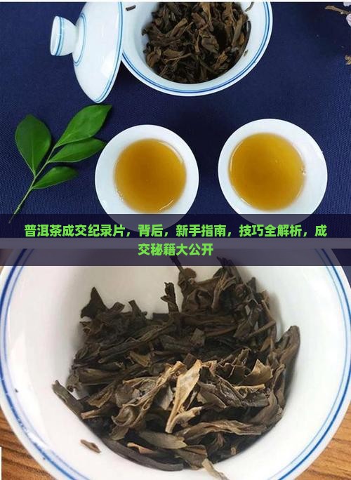 普洱茶成交纪录片