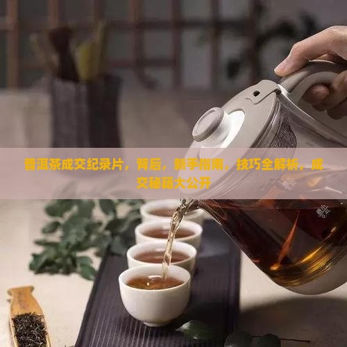 普洱茶成交纪录片
