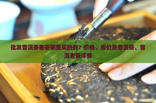 普洱茶老茶哪里买的到