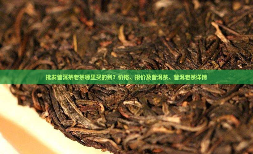 普洱茶老茶哪里买的到