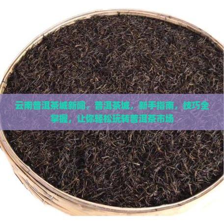 云南普洱茶城新闻