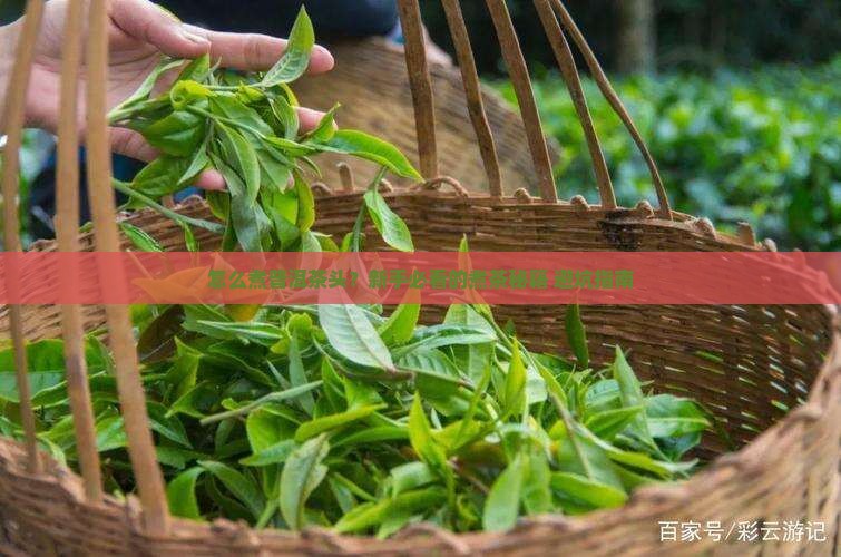 怎么煮普洱茶头