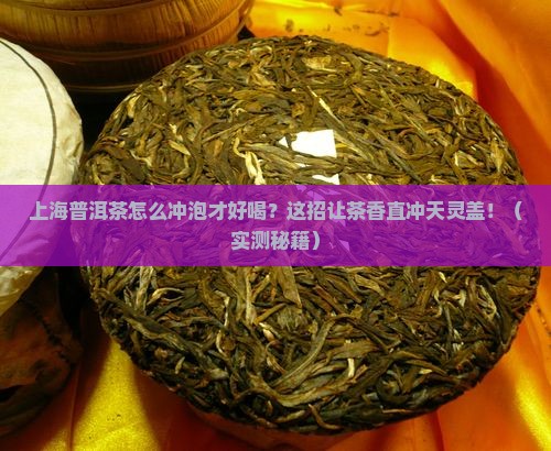 上海普洱茶怎么冲泡才好喝