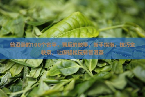 普洱茶的100个名字