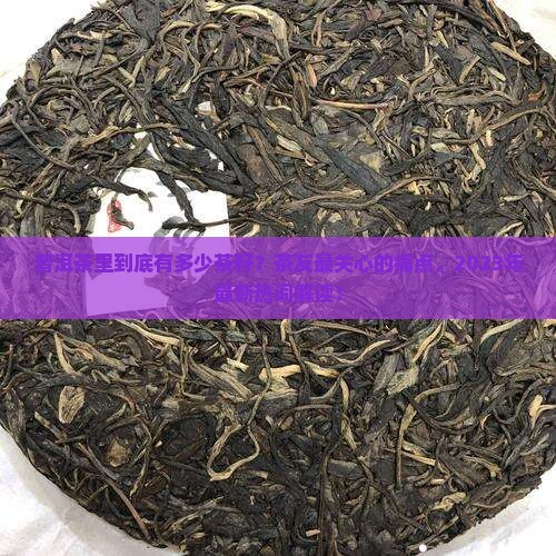 普洱茶里有多少茶籽