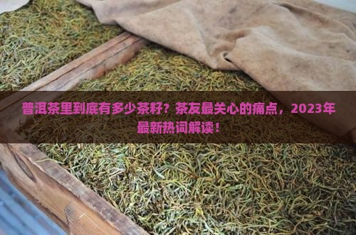 普洱茶里有多少茶籽