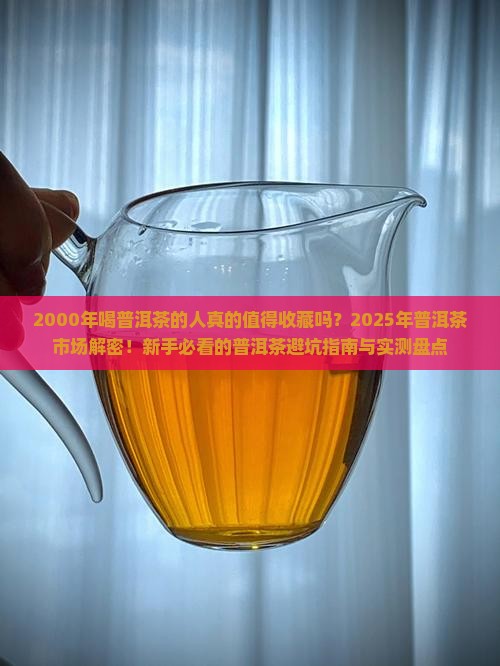 2000年喝普洱茶的人