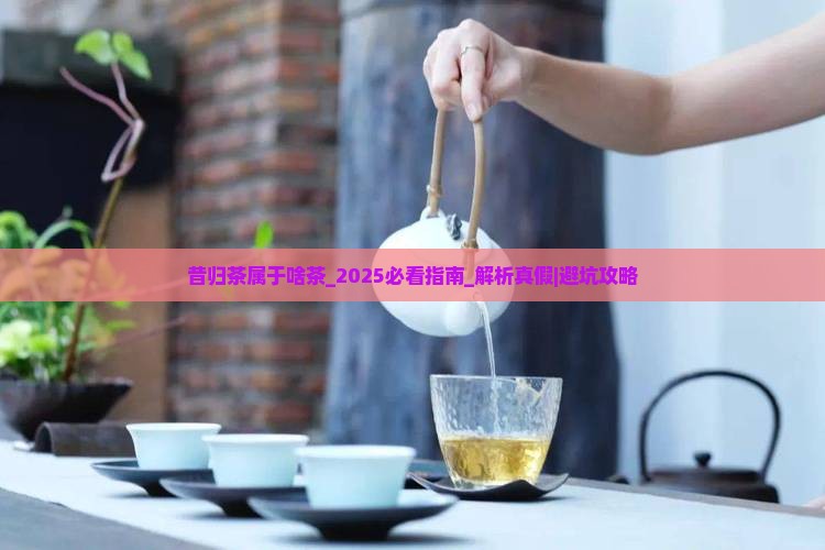 昔归茶属于啥茶