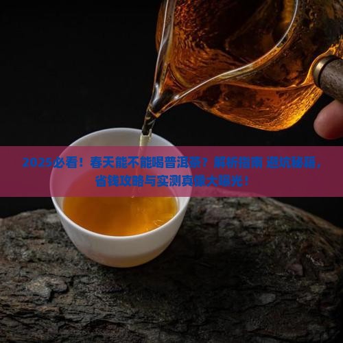 春天能不能喝普洱茶