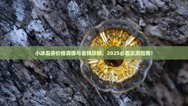 小冰岛茶是什么价格