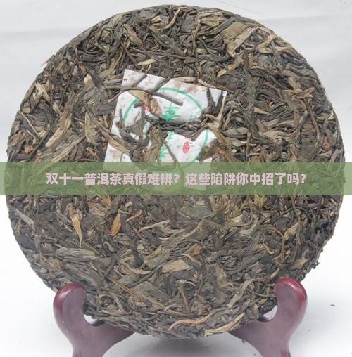 双十一普洱茶真假