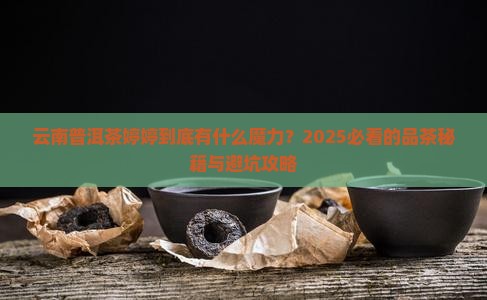云南普洱茶婷婷