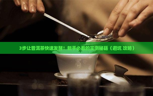 如何使普洱茶发酵很快一些