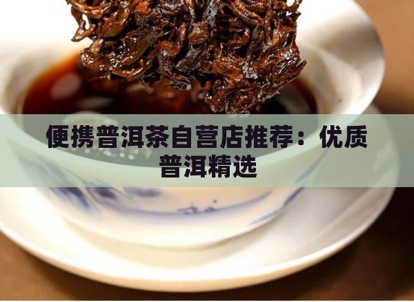 便携普洱茶自营店有哪些