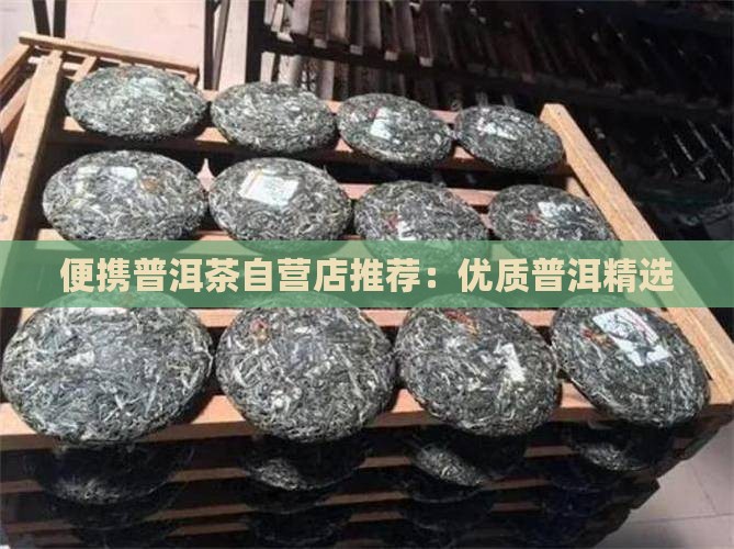 便携普洱茶自营店有哪些