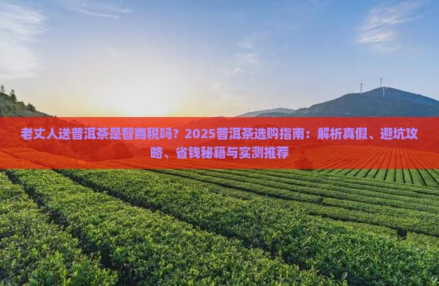 老丈人送普洱茶