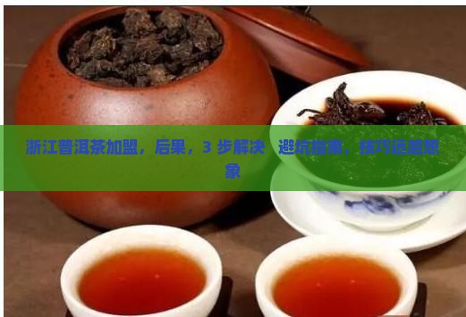 浙江普洱茶加盟