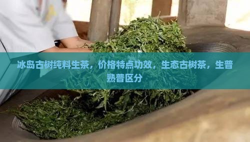 冰岛古树纯料生茶