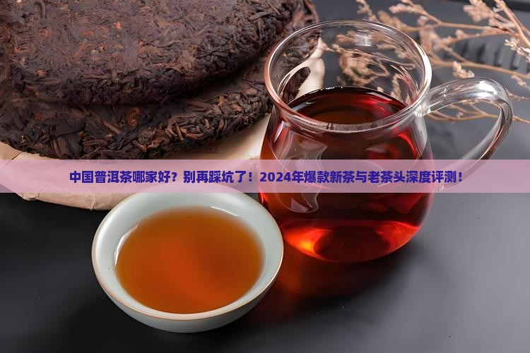 中国普洱茶哪家好