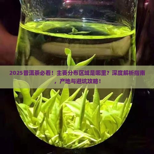 普洱茶的主要分布区域是什么