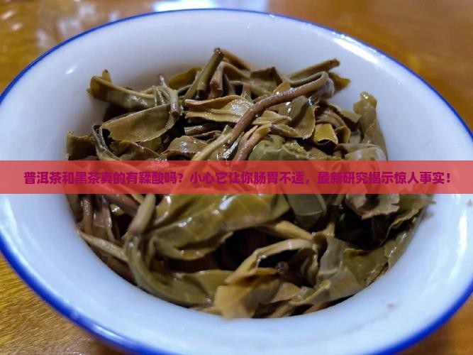 普洱茶和黑茶有鞣酸