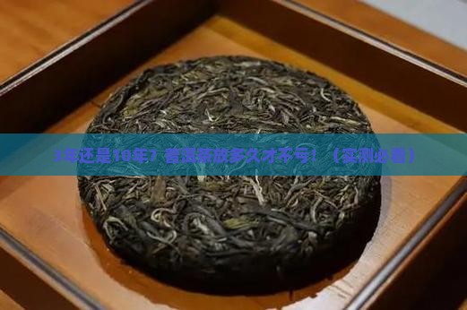 普洱茶能存放多久比较好