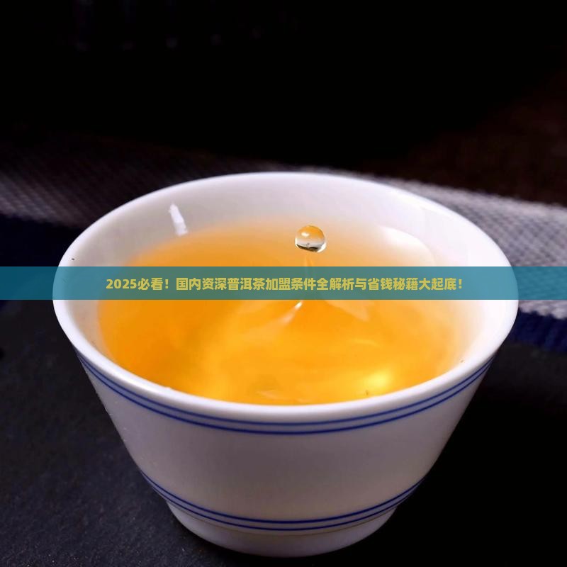 国内资深普洱茶加盟条件