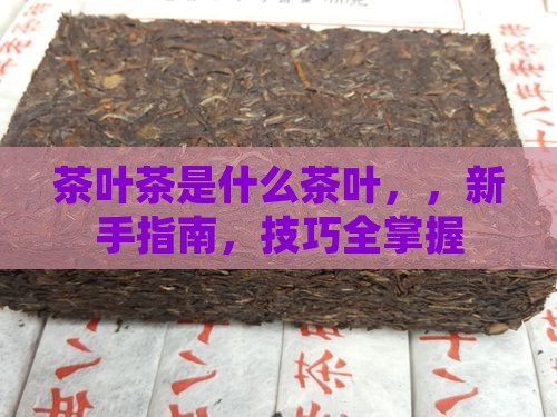 茶叶茶是什么茶叶