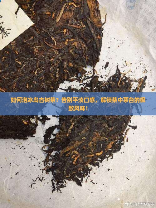 如何泡冰岛古树茶