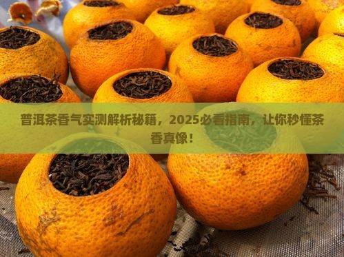 普洱茶香气描写